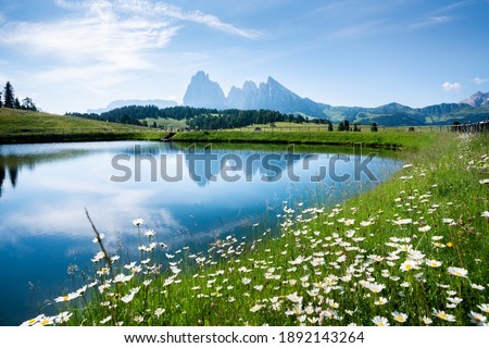 Idyllic panoramic view of scenic mountain landscape in the Alps with fields of blooming flowers and rugged mountain peaks reflecting in calm alpine lake on a sunny day with blue sky in springtime