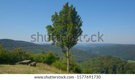 Similar – Image, Stock Photo Palatinate Forest Germany