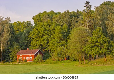 Idyllic red house by the field with grazing deer - Powered by Shutterstock