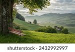 idyllic resting spot with bench overlooking the green hills in Appenzeller region. Early morning view with some fog in the valley. Early morning warm morning light. hills in Appenzell, Switzerland.