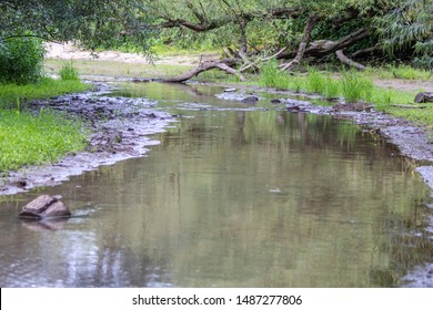 Idyllic River Winding Through A Little Forest As Ideal Holiday Destination For Stressed People To Relax, Canoe And Enjoy Idyllic Nature With Clear Water, Fresh Air And A Curvy River