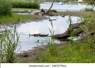 Idyllic River Winding Through A Little Forest As Ideal Holiday Destination For Stressed People To Relax, Canoe And Enjoy Idyllic Nature With Clear Water, Fresh Air And A Curvy River