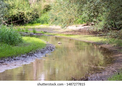 Idyllic River Winding Through A Little Forest As Ideal Holiday Destination For Stressed People To Relax, Canoe And Enjoy Idyllic Nature With Clear Water, Fresh Air And A Curvy River