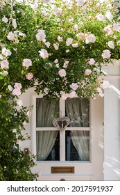 Idyllic rose splendor with door and
Half-timbered house