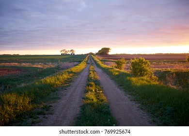 Idyllic rural scene with a straight empty country road towards the horizon in summer at sunset