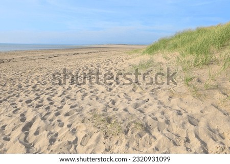 Idyllic sand beach in Anneville-sur-Mer, La Manche, Normandy, France