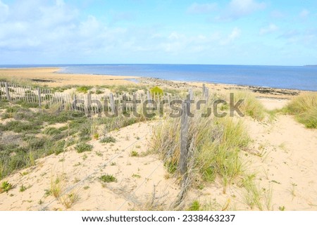 Idyllic sand beach in Ile de Ré, Charente-Maritime, France