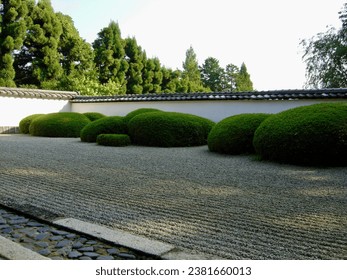An idyllic scene of round hedges in Kyoto, Japan, featuring vibrant shades of green