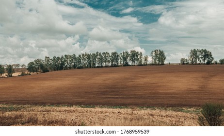 Idyllic scene of typical countryside landscape with field and trees on the cloudy sky background. Agriculture valley farm concept. Peaceful scenery of meadow in the village. Summertime.