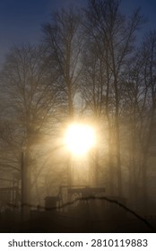 Idyllic scenery with bare trees in backlight and playground at Swiss local mountain of Uetliberg on an autumn sunset. Photo taken December 13th, 2025, Zurich Uetliberg, Switzerland.