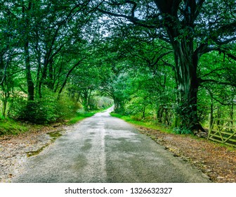 Idyllic Scenery Of British Countryside.Country Road With Trees On Both Side Wet After Rain  In Rural Cumbria,UK.Tranquil Landscape Of English Lake District.