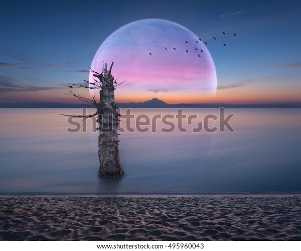Idyllic scenery at dawn\
with big moon rising over horizon and lone dried tree in ocean.\
Dream concept.