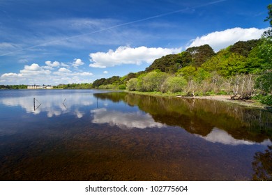 Idyllic Scenery Of Killarney Lake In Ireland