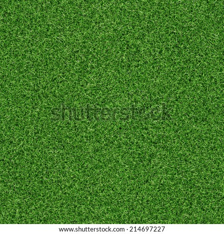idyllic  seamless grass texture