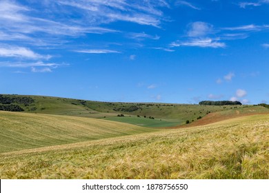 An Idyllic South Downs Summer Landscape With A Poppy Field In The Distance