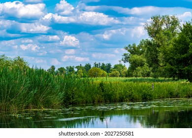 An idyllic Spree forest landscape in summer - Shutterstock ID 2027250581