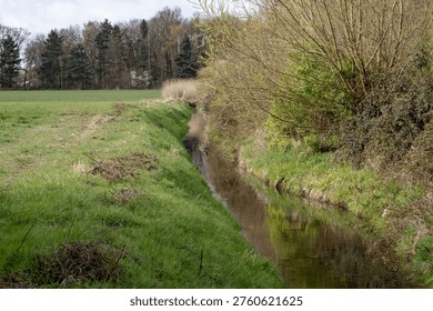 Idyllic stream creating reflections of surrounding spring vegetation and tranquil environment