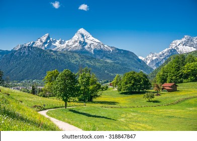 Idyllic summer landscape in the Alps with fresh green mountain pastures and snow-capped mountain tops in the background, Nationalpark Berchtesgadener Land, Bavaria, Germany