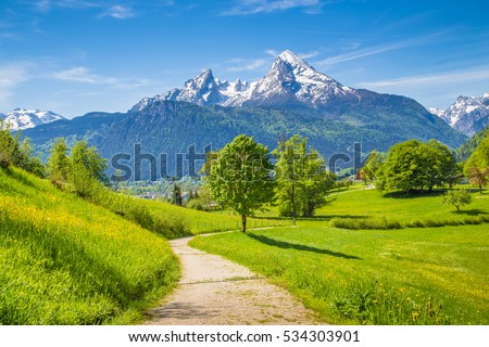 Idyllic summer landscape with hiking trail in the Alps with beautiful fresh green mountain pastures and snow-capped mountain tops in the background, Nationalpark Berchtesgadener Land, Bavaria, Germany
