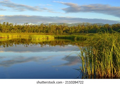 Idyllic Sunrise On The Taiga River. Untouched, Primeval Nature Of The Russian Far East. Khabarovsk Krai, Strait Of Tartary Coast, Taezhnitsa River.