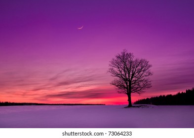 idyllic sunset in the field - Powered by Shutterstock