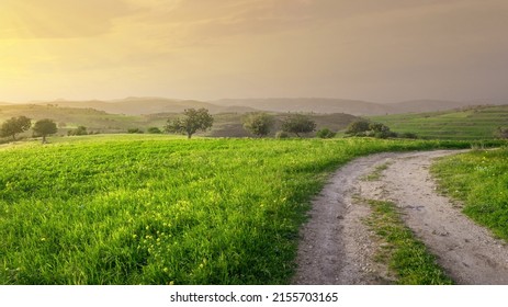 Idyllic sunset landscape with green grass and countryside road. Springtime in Cyprus