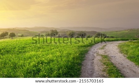 Idyllic sunset landscape with green grass and countryside road. Springtime in Cyprus