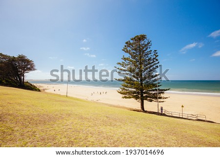 The idyllic Torquay Public Beach and Foreshore on a hot summer's day in Torquay, Victoria, Australia