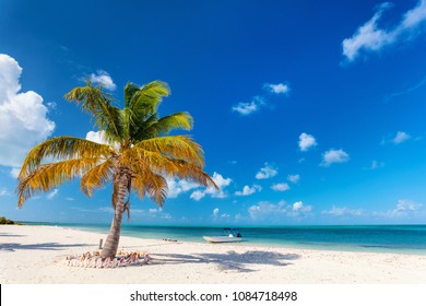 Idyllic tropical beach on Barbuda island in Caribbean with white sand, turquoise ocean water and blue sky