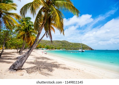 239 Mayreau Stock Photos, Images & Photography | Shutterstock