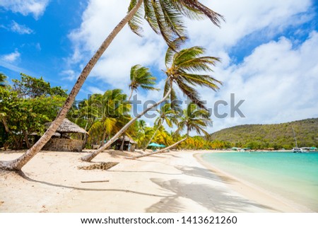 Idyllic tropical beach with white sand, palm trees and turquoise Caribbean sea water on Mayreau island in St Vincent and the Grenadines