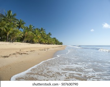 Idyllic Tropical Getaway At Mission Beach, Queensland, Australia With Gentle Surf Lapping Golden Sand Fringed With Lush Vegetation And Palm Trees