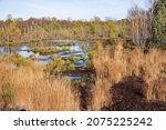 Idyllic Uchter Moor near Nienburg in Lower Saxony, Germany