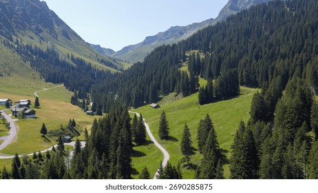 Idyllic valley with forests below the tree line in the Montafon