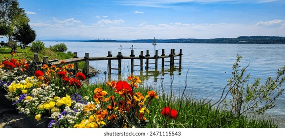 The idyllic view of the Lake Constance from the bloom shore on a sunny day. The sailboat on the Lake Constance, two silhouettes of people on Stand Up Paddle. Wooden bridge on the lake. - Powered by Shutterstock