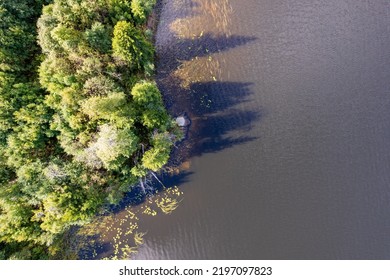 Idyllic View Of Lakeshore In Summer