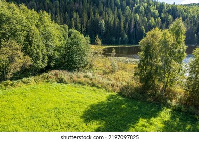 Idyllic View Of Lakeshore In Summer