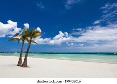 Idyllic white sand tropical beach with palm trees on exotic island in Philippines