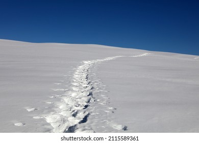 Idyllische Winterszene mit Wanderweg im Schnee. Seiser Alm. Südtirol. Italien
