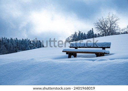 Idyllically snow-covered wooden bench in the snow. Winterlandscape with tree silhouette 