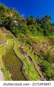 Ifugao Rice Terraces On Luzon Island, Philippines