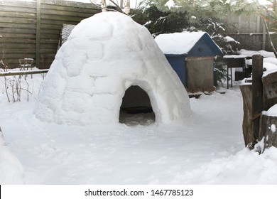 Igloo House Made Ice Snow Built Stock Photo (Edit Now) 1467785123