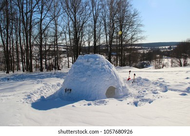 Igloo in the winter forest