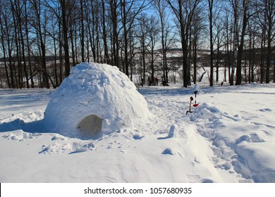 Igloo in the winter forest