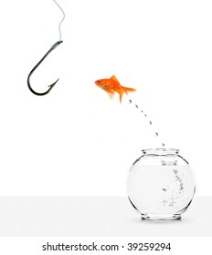 ignorant goldfish jumping out of bowl towards empty hook