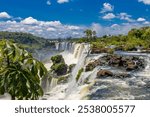 Iguazu falls, Cataratas del Iguazu waterfall in Brazil and Argentina. Huge powerful water stream in the tropical jungle forest of South America on river Iguasu