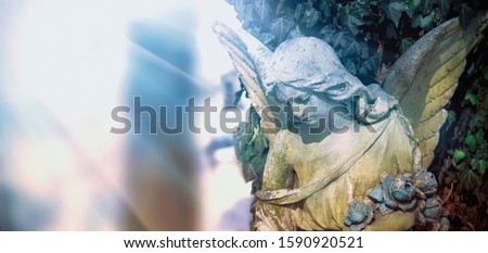 Iimage of an angel on a cemetery in sunlight. Ancient statue.