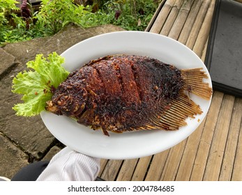 Bakar Ikan Hd Stock Images Shutterstock