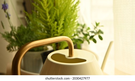 Ikea Gardening Tool With Plants On The Background