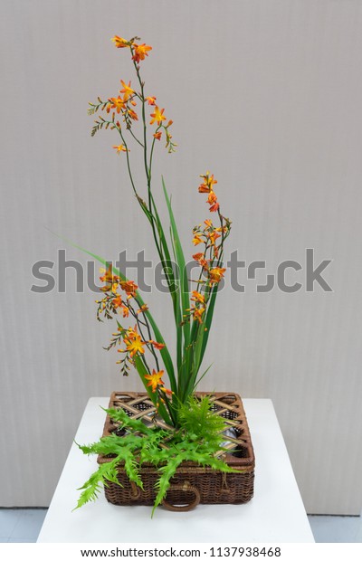 Ikebana Colorful Flower Vase On Wooden Interiors Stock Image